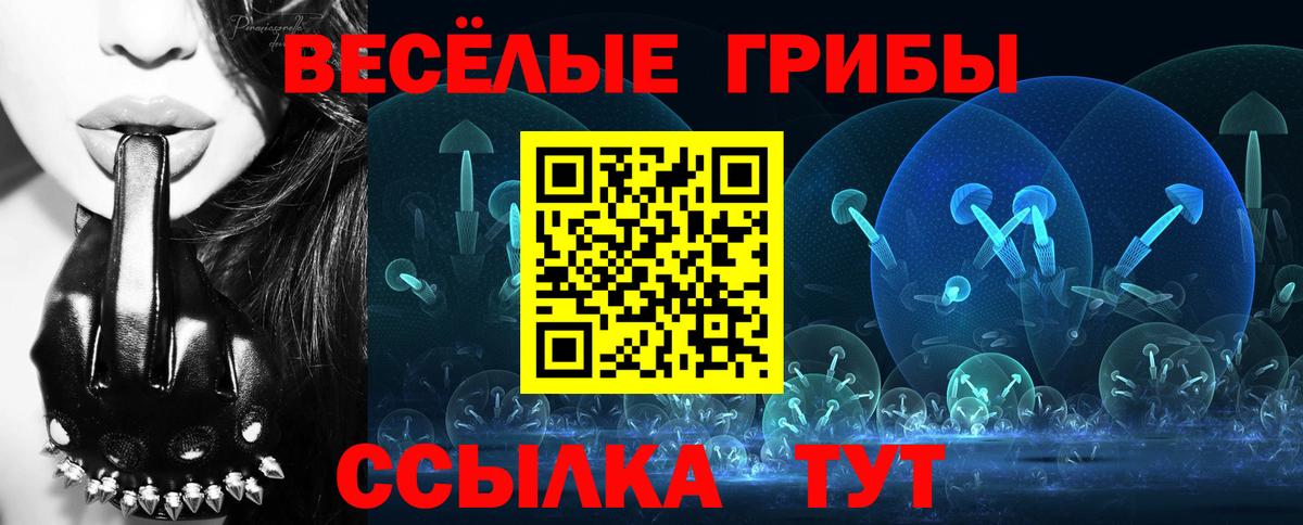 Галлюциногенные грибы GOLDEN TEACHER  Псилоцибиновые грибы Cubensis  Вход с VPN  Ростов-на-Дону 
